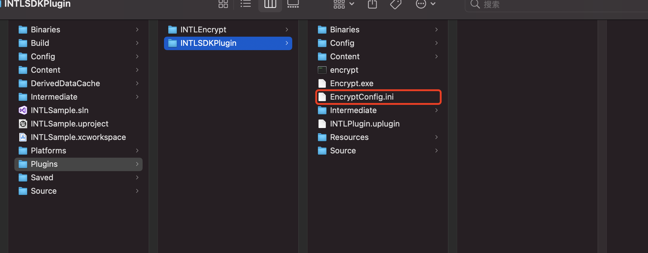 Image: UE EncryptConfig path