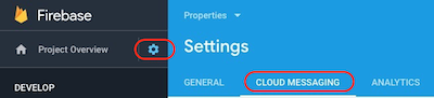 Image: Firebase Cloud Messaging Settings